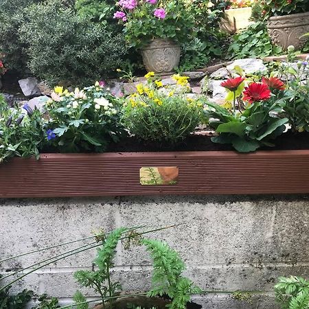 Bumble Bee Cottage Plymouth Zewnętrze zdjęcie