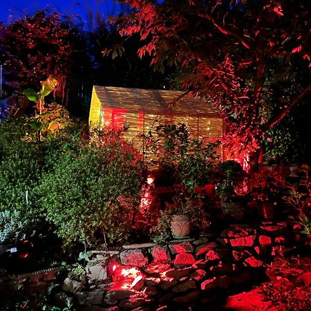 Bumble Bee Cottage Plymouth Zewnętrze zdjęcie