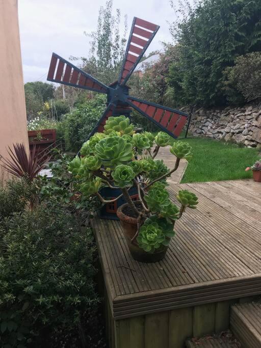 Bumble Bee Cottage Plymouth Zewnętrze zdjęcie