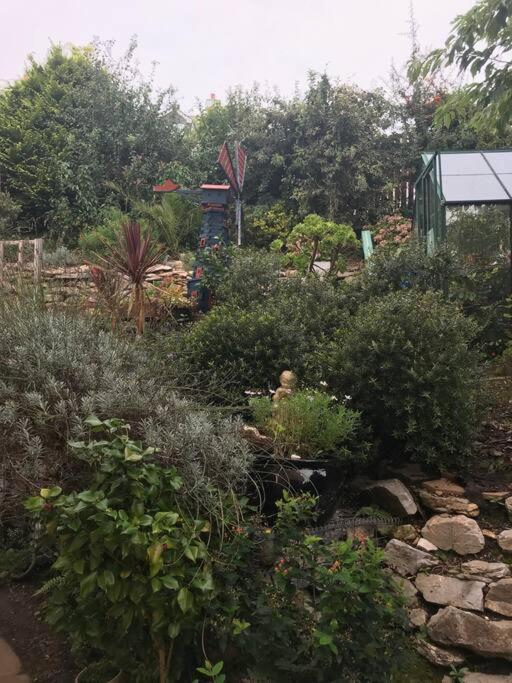 Bumble Bee Cottage Plymouth Zewnętrze zdjęcie