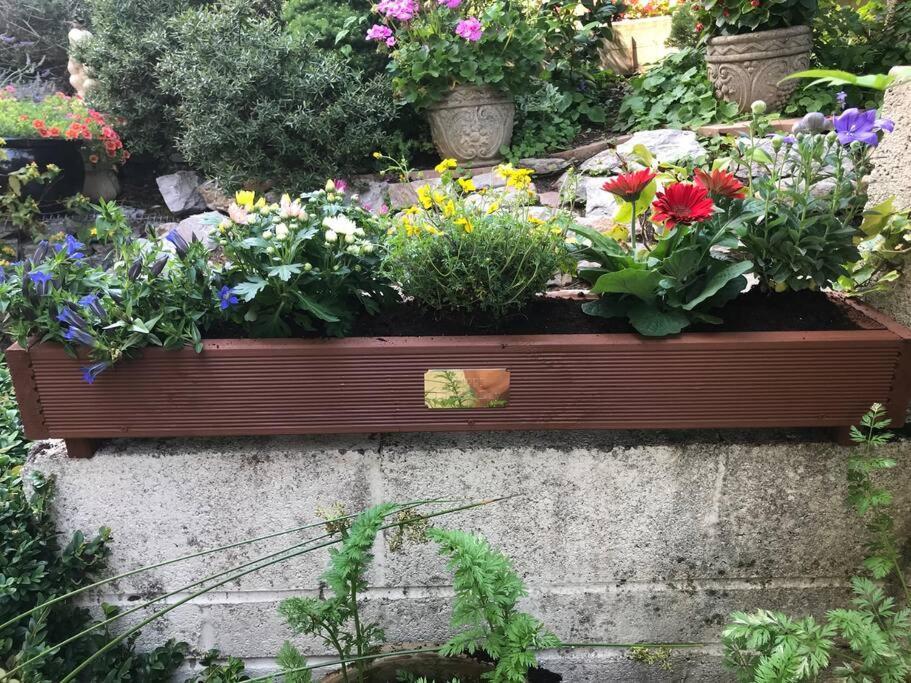 Bumble Bee Cottage Plymouth Zewnętrze zdjęcie