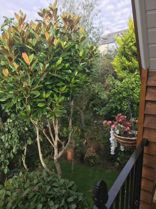 Bumble Bee Cottage Plymouth Zewnętrze zdjęcie