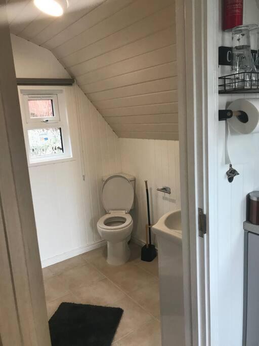 Bumble Bee Cottage Plymouth Zewnętrze zdjęcie