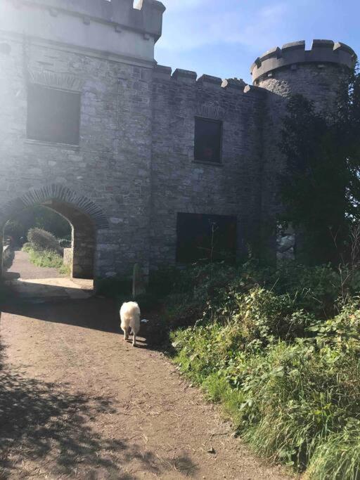 Bumble Bee Cottage Plymouth Zewnętrze zdjęcie