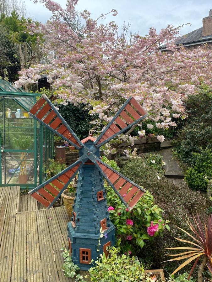 Bumble Bee Cottage Plymouth Zewnętrze zdjęcie