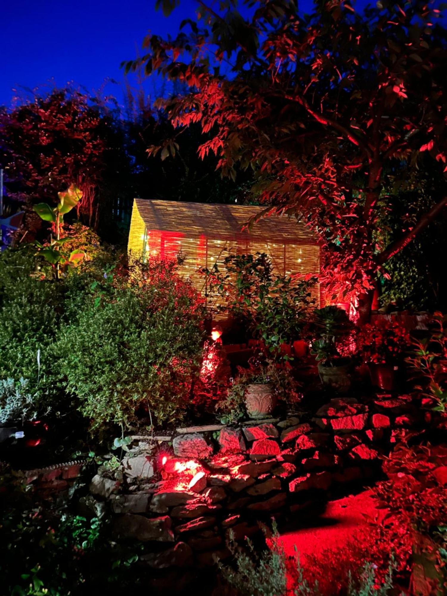 Bumble Bee Cottage Plymouth Zewnętrze zdjęcie